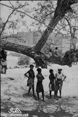 ���� ��� ������ ������ ��� ��� ����